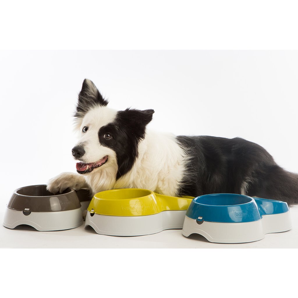 Bama pet food bowl with water reservoir 33x20x9 cm assorted